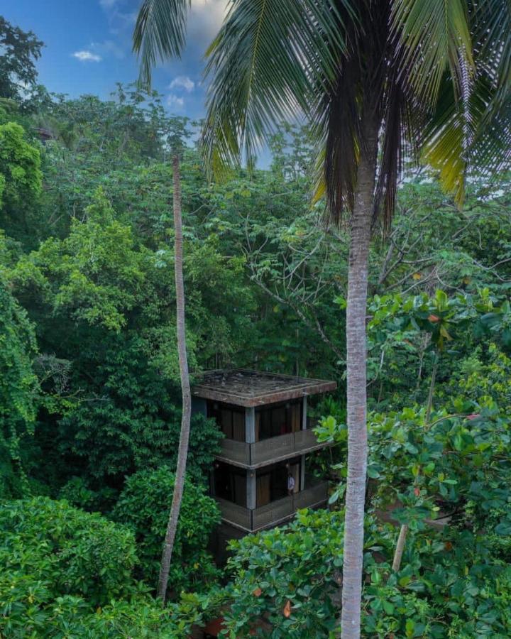 Taino Beach Lofts El Valle Luaran gambar